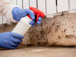 Best Mold Odor Removal Services  in Bristol, FL